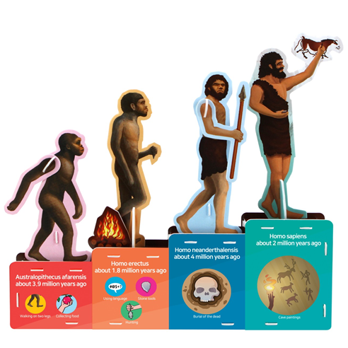 World History 人類の進化 英語版 World History 人類の進化 英語版